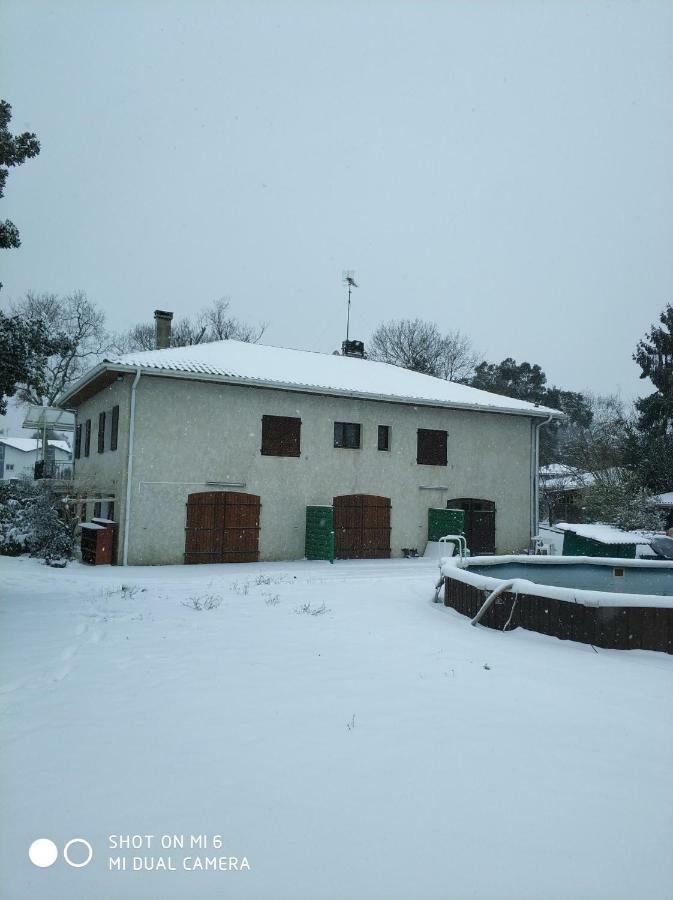 Les Bananiers Apartment Capbreton Exterior photo